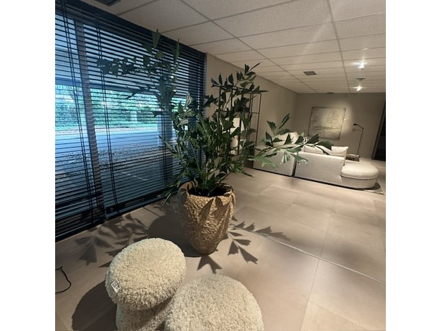 Pot met kunstplant colours&green, fishtail palm - afbeelding 5 van  5