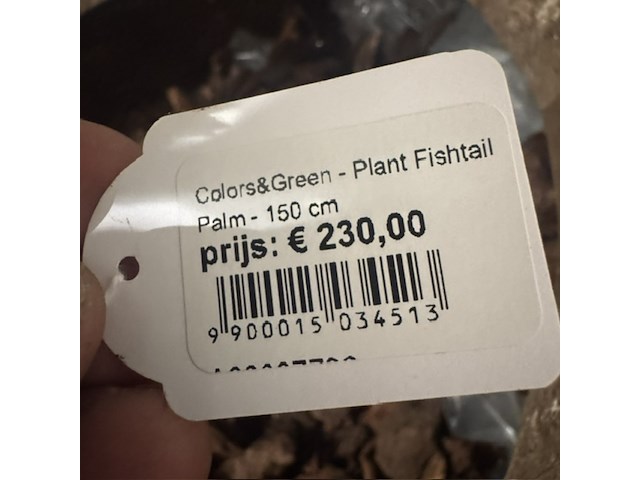 Pot met kunstplant colours&green, fishtail palm - afbeelding 4 van  4
