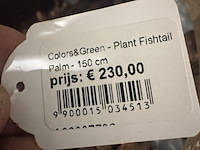 Pot met kunstplant colours&green, fishtail palm - afbeelding 4 van  4