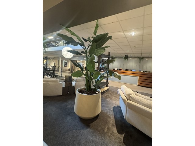 Pot met kunstplant colours&green, strelizia - afbeelding 1 van  4