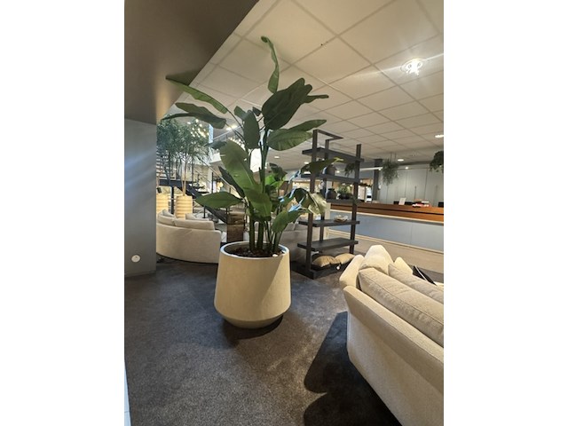 Pot met kunstplant colours&green, strelizia - afbeelding 2 van  4