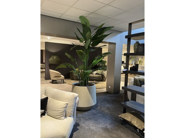Pot met kunstplant colours&green, strelizia - afbeelding 4 van  4