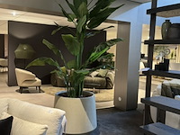 Pot met kunstplant colours&green, strelizia - afbeelding 4 van  4