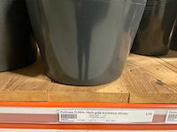 Pothoezen - afbeelding 2 van  19