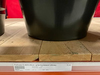 Pothoezen - afbeelding 14 van  19