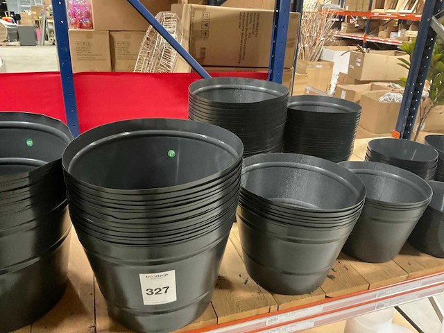 Pothoezen - afbeelding 15 van  19