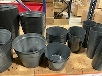 Pothoezen - afbeelding 18 van  19