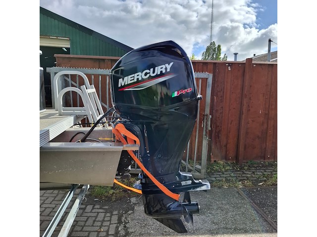 Potonboot met trailer, cruise 6.0 - afbeelding 38 van  38