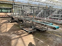 Potplant transportband (2x)