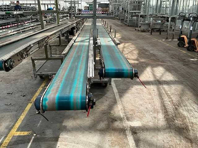 Potplant transportband (2x) - afbeelding 2 van  9