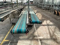 Potplant transportband (2x) - afbeelding 2 van  9