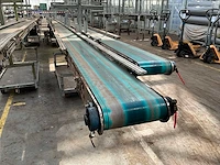 Potplant transportband (2x) - afbeelding 3 van  9