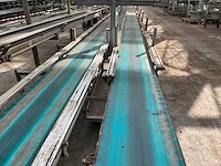 Potplant transportband (2x) - afbeelding 4 van  9