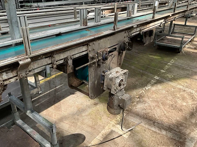 Potplant transportband (2x) - afbeelding 5 van  9