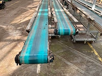 Potplant transportband (2x) - afbeelding 9 van  9