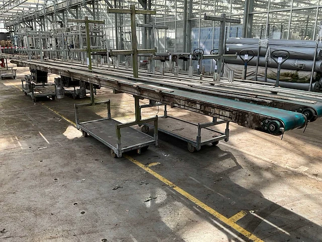 Potplant transportband (2x) - afbeelding 1 van  9