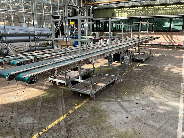 Potplant transportband (2x) - afbeelding 2 van  9