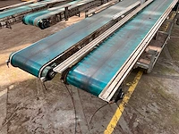 Potplant transportband (2x) - afbeelding 3 van  9