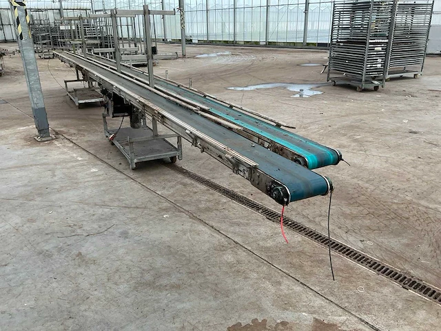 Potplant transportband (2x) - afbeelding 2 van  6