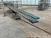 Potplant transportband (2x) - afbeelding 2 van  6