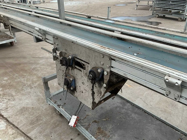 Potplant transportband (2x) - afbeelding 3 van  6