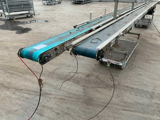 Potplant transportband (2x) - afbeelding 4 van  6