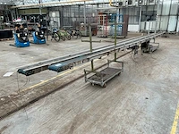 Potplant transportband (2x) - afbeelding 1 van  6