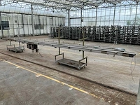 Potplant transportband (2x) - afbeelding 2 van  6