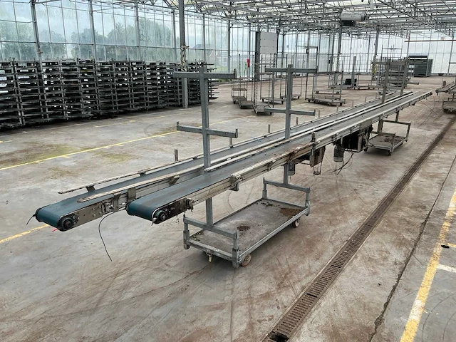 Potplant transportband (2x) - afbeelding 3 van  6
