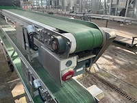 Potplant transportband (3x) - afbeelding 4 van  14