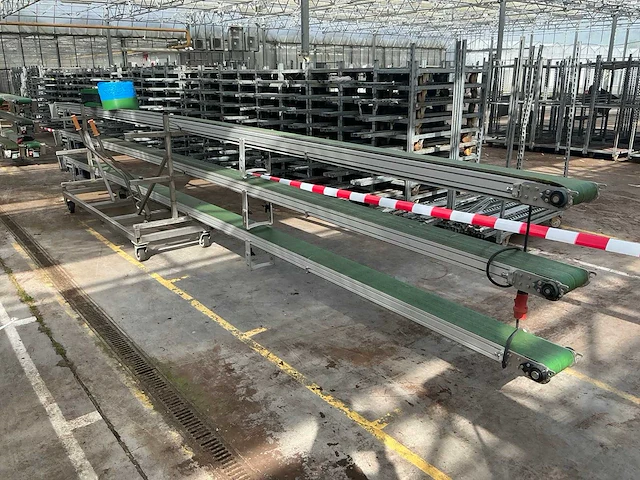 Potplant transportband (3x) - afbeelding 7 van  14