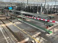 Potplant transportband (3x) - afbeelding 7 van  14
