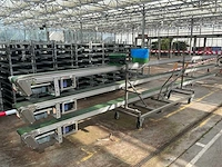 Potplant transportband (3x) - afbeelding 8 van  14
