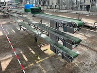 Potplant transportband (3x) - afbeelding 9 van  14