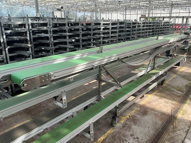 Potplant transportband (5x) - afbeelding 3 van  17