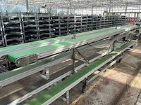 Potplant transportband (5x) - afbeelding 3 van  17
