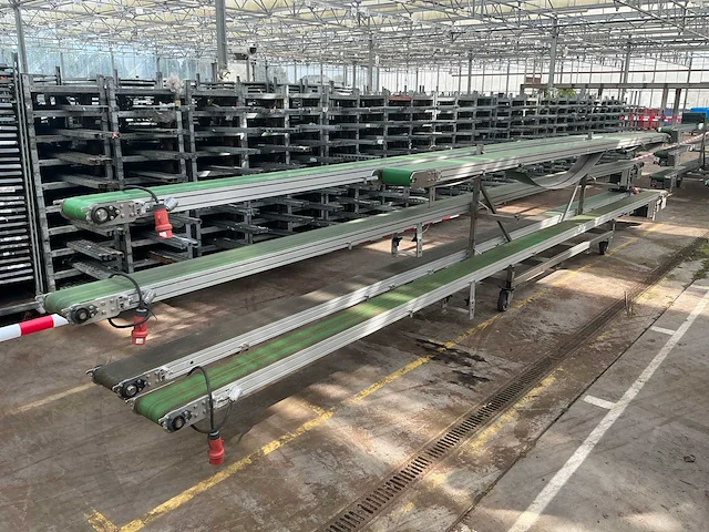 Potplant transportband (5x) - afbeelding 11 van  17