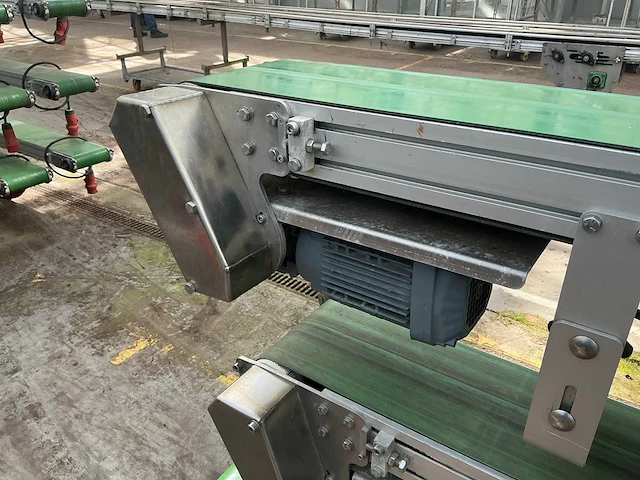 Potplant transportband (5x) - afbeelding 14 van  17