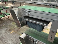 Potplant transportband (5x) - afbeelding 14 van  17