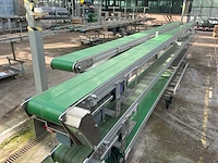 Potplant transportband (5x) - afbeelding 16 van  17