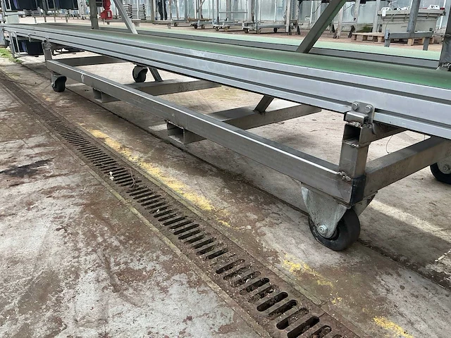 Potplant transportband (6x) - afbeelding 3 van  12