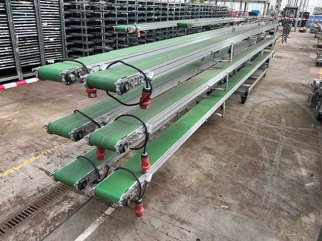 Potplant transportband (6x) - afbeelding 5 van  12
