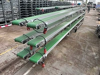Potplant transportband (6x) - afbeelding 5 van  12