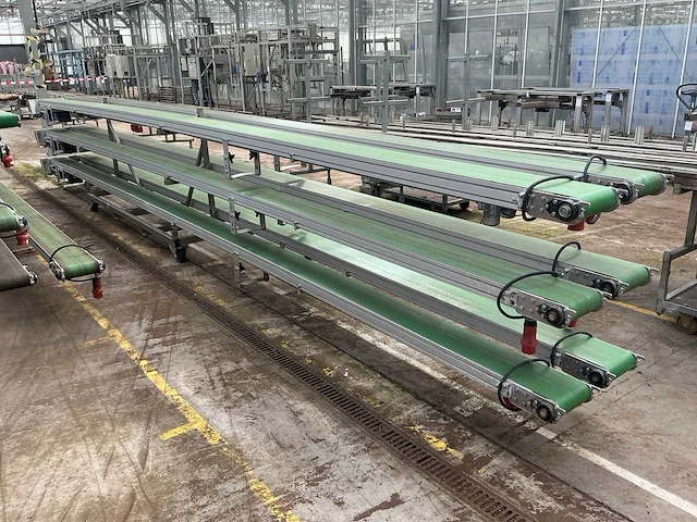 Potplant transportband (6x) - afbeelding 6 van  12