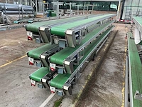 Potplant transportband (6x) - afbeelding 7 van  12