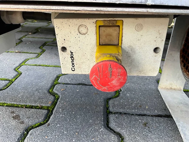 Potplant transportband (7x) - afbeelding 9 van  18