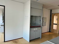 Potteau laboratorium zuurkast