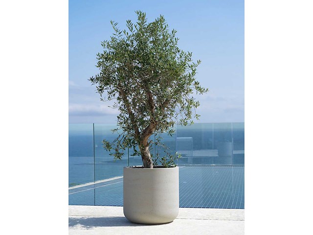Pottery pots jumbo charlie m-s bloempot (2x) - afbeelding 8 van  8