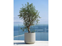 Pottery pots jumbo charlie m-s bloempot (2x) - afbeelding 8 van  8