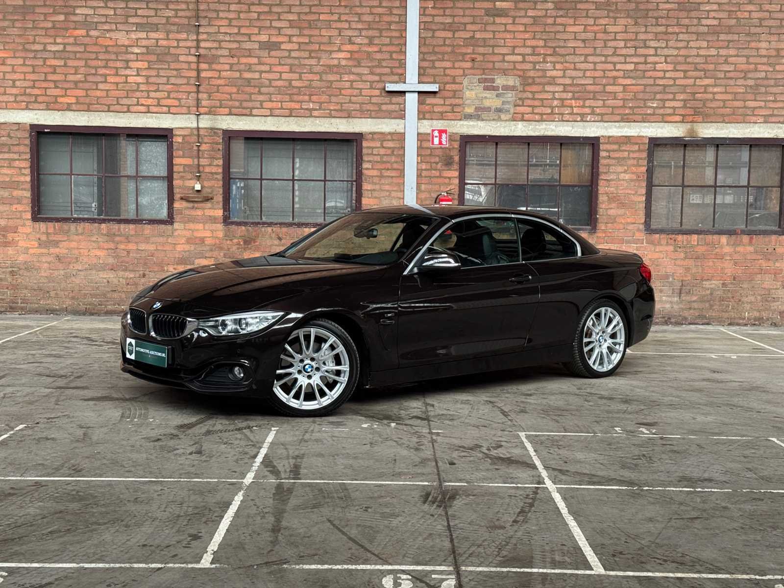 Premium daily drivers & mixed vehicles te boxmeer